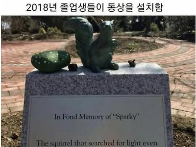 청설모를 위한 동상을 세운 학교