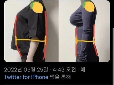 가슴 큰 사람들이 옷입을때 빡치는 이유.jpg