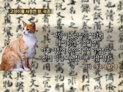 고양이를 사랑한 왕.jpg
