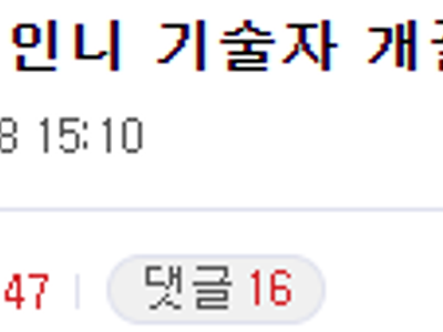 인도 기술자가 부러운 디씨인..