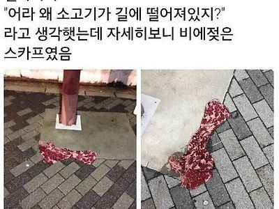 어라 왜 소고기가 길에 떨어져있지