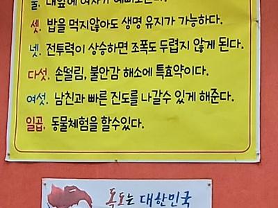 소주의효능