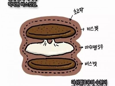 초코파이의 숨겨진 비밀