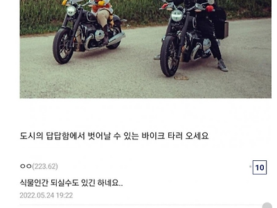 식물갤의 쌍욕