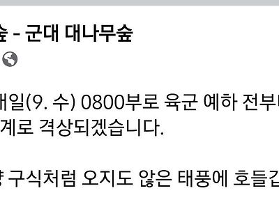 군대식 일처리