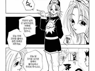 헌터헌터 토가시 메갈논란