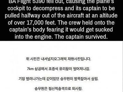 항공기 승무원이 자진퇴사한 이유.jpg