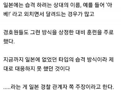 흔한 일본 경호원이 경호에 실패한 진짜 이유 甲