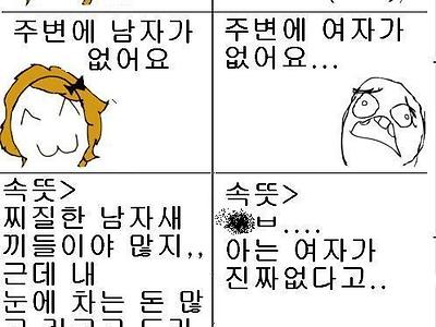 남녀 솔로의 차이