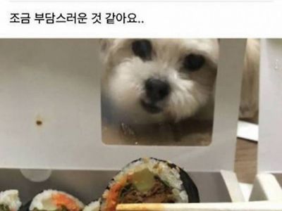 김밥 포장 바꿔주세요