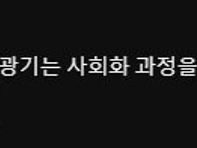 노홍철 순수광기 정점시절