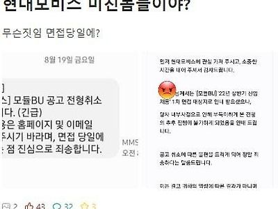 현대모비스 당일 면접 취소 통보