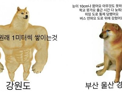 강원도와 부울경의 눈올때 차이