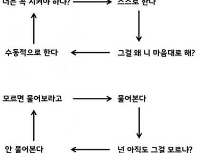 신입사원 무한의 굴레...jpg