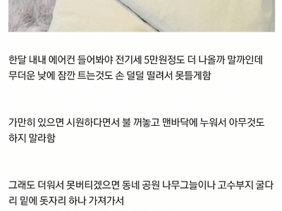 흙수저 여름 특징