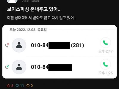 보이스피싱 괴롭히는 법