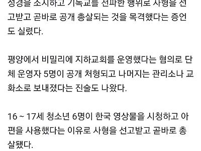 김일성 초상화에 손가락질한 임산부 공개처형 ㅅㅂ