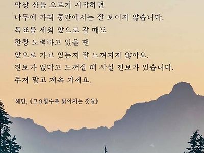 풀소유 : 산에선 목표가 보이지 않음