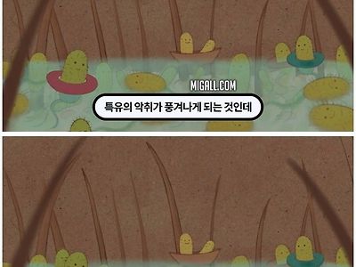 한국인들은 체취가 거의 없는 편이라고?