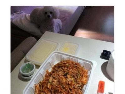 배민리뷰에 강아지 사진이 안보여 아쉬웠던 배민 사장님