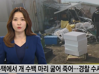주택에서 개 수백 마리 굶어 죽어...