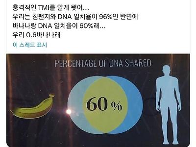 우리 중 60%는 인간인 척하는 바나나입니다