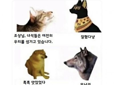 고양이와 멍멍이 가 선조를 만나면