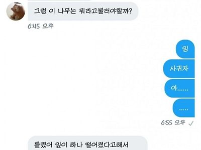 잎이 5개인 오귀자 나무