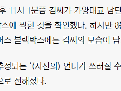 가양역 실종 언니가 소식듣고 쓰러질까봐 신고한건가...ㅠㅠ