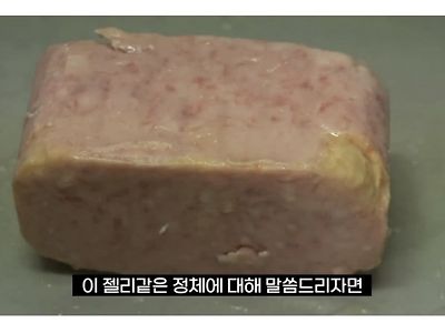 스팸에 붙어있는 젤리 같은 것의 정체