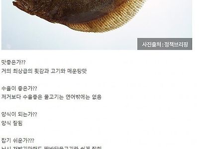 인류 역사상 최고의 생선