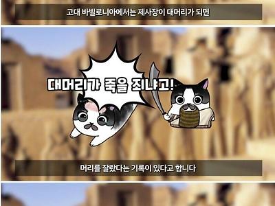 대머리들이 지금 태어난걸 감사해야 하는 이유