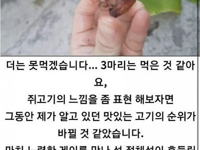 소름돋는 쥐고기 후기