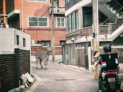 한국 퓰리쳐상 1위 후보