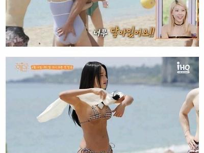 흔한 비키니 짝짓기 예능