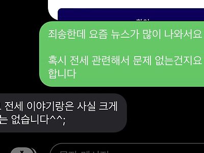 전세사기 무서워서 부동산한테 물어봄