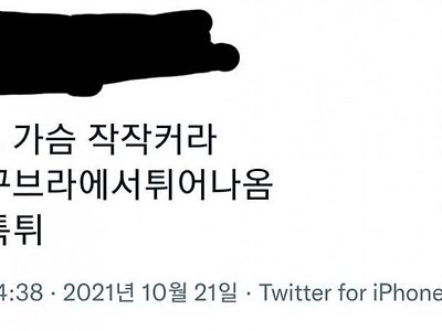 가슴좀 작작 크라는 트위타녀