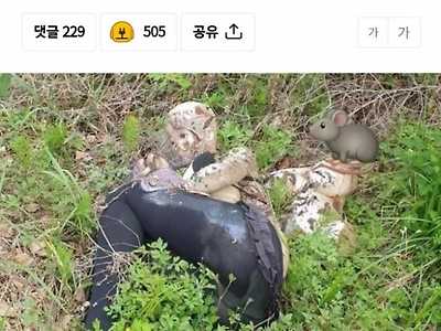 리얼돌의 진짜 문제점 발견