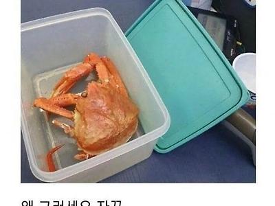 편의점 갤러리 레전드 모음.jpg