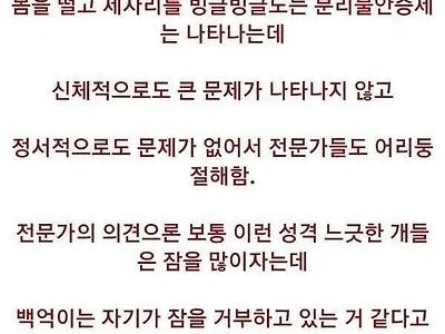 개주작하다가 들통나버린 방송.jpg