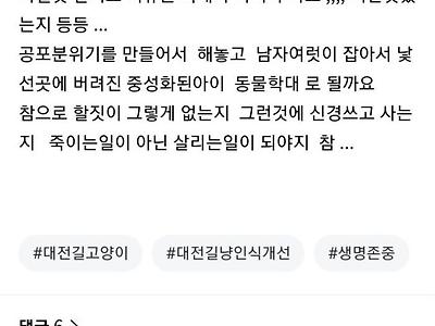 신상털기 들어가는 캣맘들