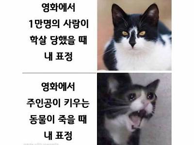 영화에서 누군가 죽었을때 반응