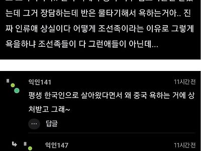 나 조선족인데 진짜 상처 받았어