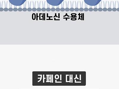 커피를 마시면 마실수록 피곤해지는 이유.jpg