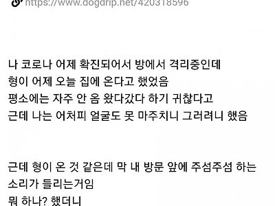 의사인 형이 뿅뿅인 사건