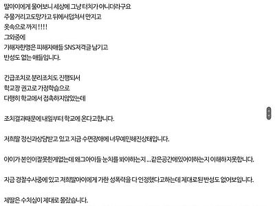 경기도 평택의 초등학생 성폭행 학폭 이슈