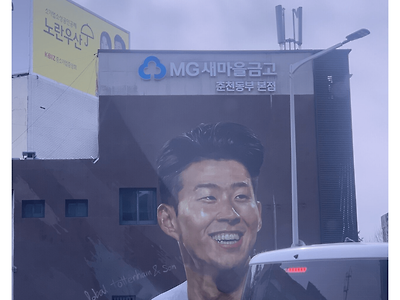 다들 손흥민 욕할때 포텐간 펨붕이다