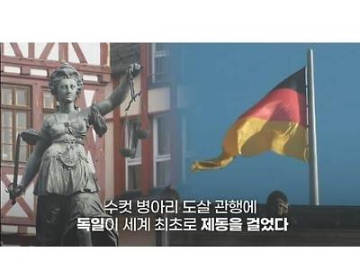 차라리 태어나지 않았다면 고통받지도 않았을텐데