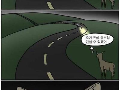 고라니 도로 건너는 만화