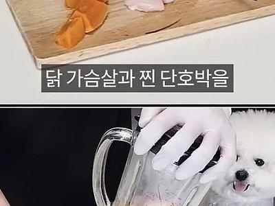 강아지전용 케이크 만드는법.jpg